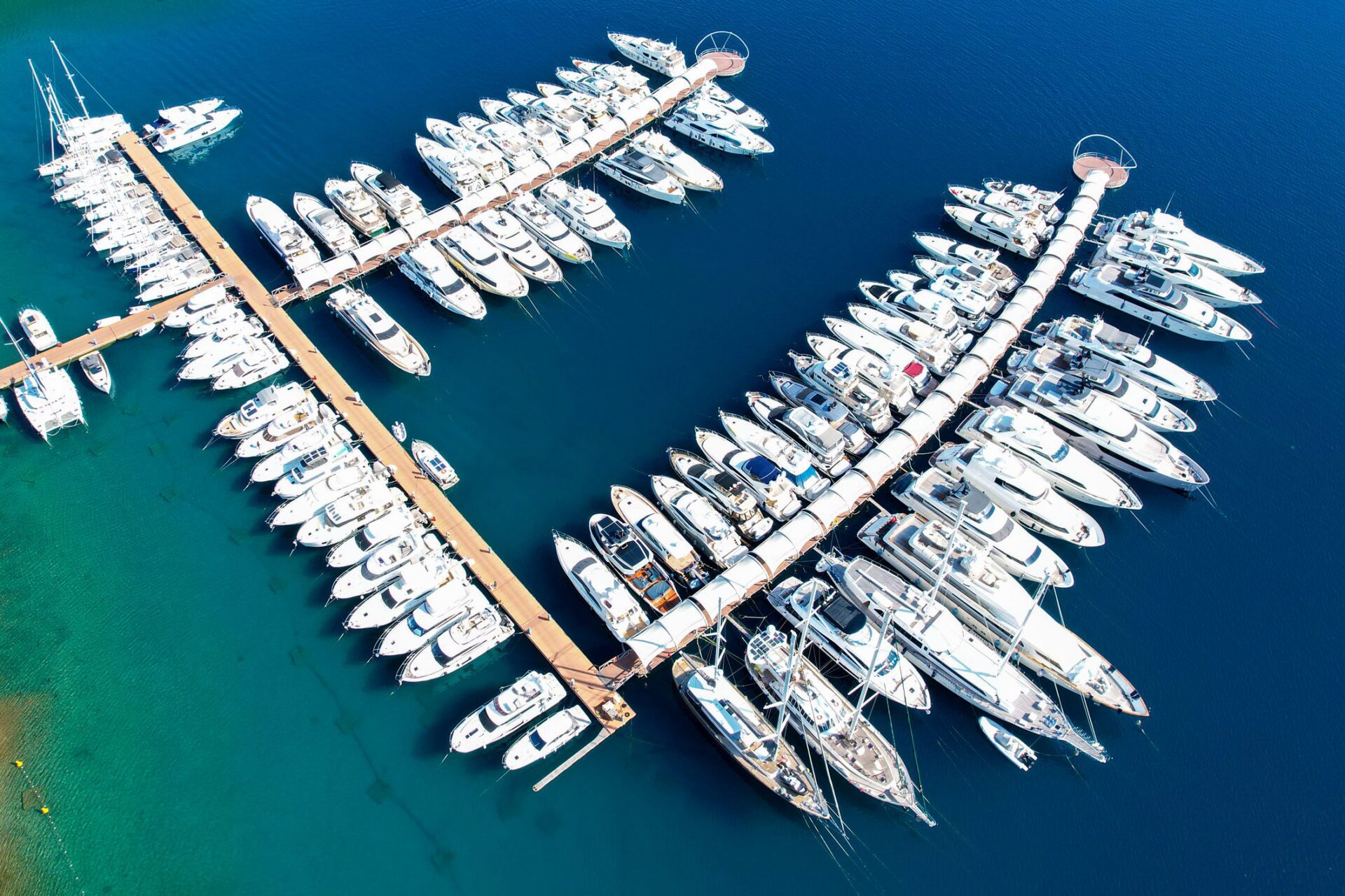 Marina filled with luxury yachts